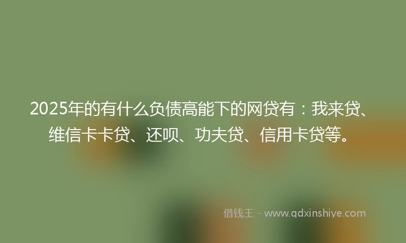 2025年的有什么负债高能下的网贷有：我来贷、维信卡卡贷、还呗、功夫贷、信用卡贷等。