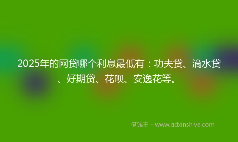 2025年的网贷哪个利息最低有：功夫贷、滴水贷、好期贷、花呗、安逸花等。
