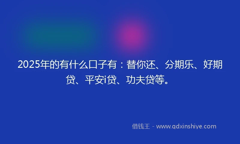 2025年的有什么口子有：替你还、分期乐、好期贷、平安i贷、功夫贷等。
