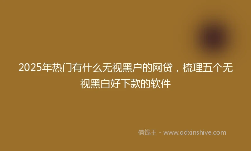 2025年热门有什么无视黑户的网贷，梳理五个无视黑白好下款的软件