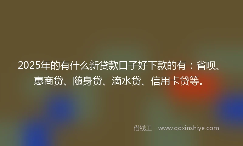 2025年的有什么新贷款口子好下款的有：省呗、惠商贷、随身贷、滴水贷、信用卡贷等。