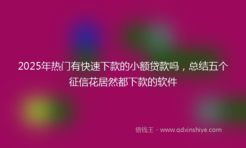 2025年热门有快速下款的小额贷款吗，总结五个征信花居然都下款的软件