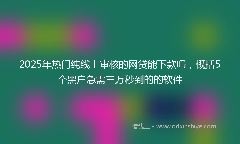 2025年热门纯线上审核的网贷能下款吗，概括5个黑户急需三万秒到的的软件