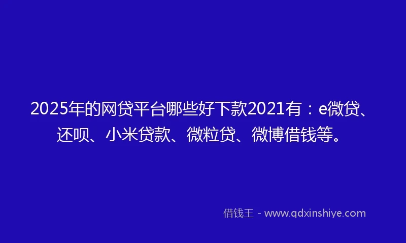 2025年的网贷平台哪些好下款2021有：e微贷、还呗、小米贷款、微粒贷、微博借钱等。