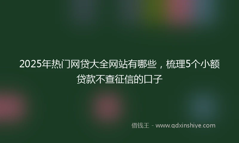 2025年热门网贷大全网站有哪些，梳理5个小额贷款不查征信的口子
