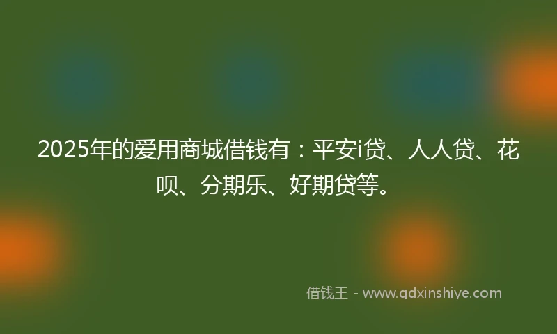 2025年的爱用商城借钱有：平安i贷、人人贷、花呗、分期乐、好期贷等。