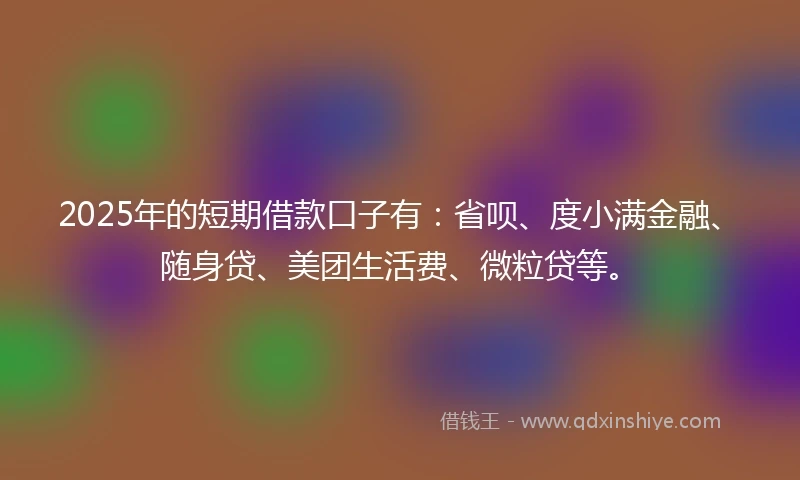 2025年的短期借款口子有：省呗、度小满金融、随身贷、美团生活费、微粒贷等。