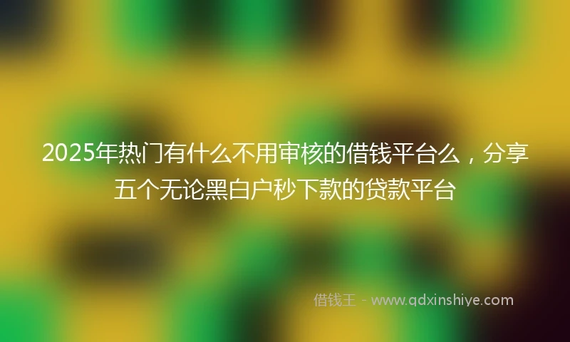 2025年热门有什么不用审核的借钱平台么，分享五个无论黑白户秒下款的贷款平台