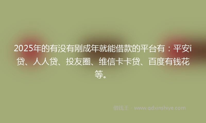 2025年的有没有刚成年就能借款的平台有：平安i贷、人人贷、投友圈、维信卡卡贷、百度有钱花等。