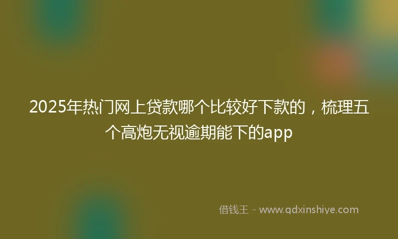 2025年热门网上贷款哪个比较好下款的，梳理五个高炮无视逾期能下的app
