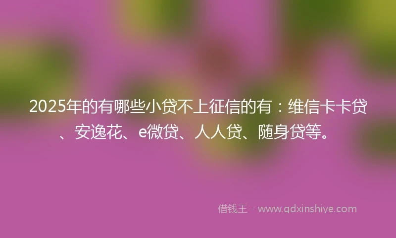 2025年的有哪些小贷不上征信的有：维信卡卡贷、安逸花、e微贷、人人贷、随身贷等。