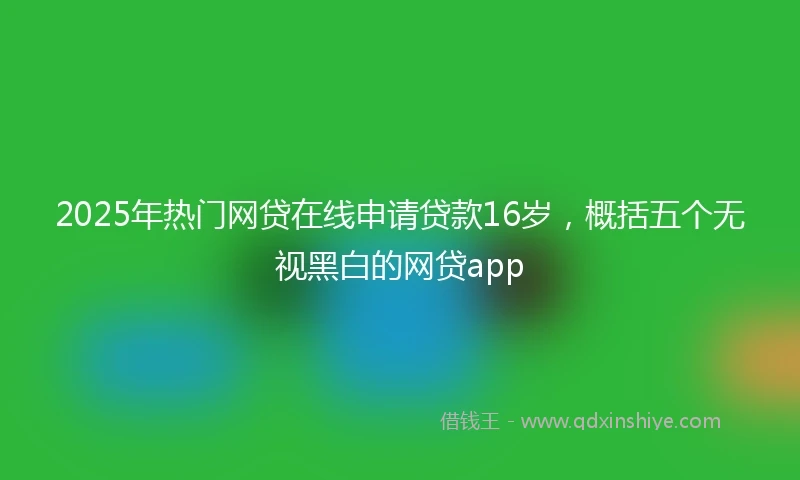 2025年热门网贷在线申请贷款16岁，概括五个无视黑白的网贷app