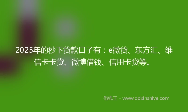2025年的秒下贷款口子有：e微贷、东方汇、维信卡卡贷、微博借钱、信用卡贷等。