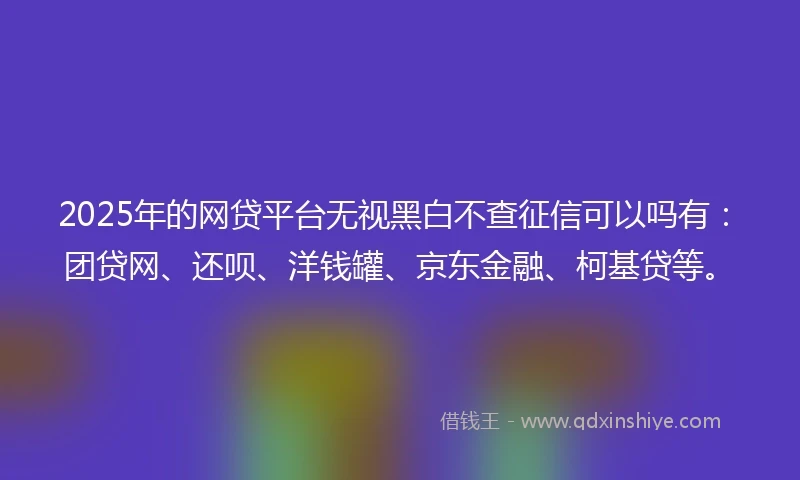2025年的网贷平台无视黑白不查征信可以吗有：团贷网、还呗、洋钱罐、京东金融、柯基贷等。