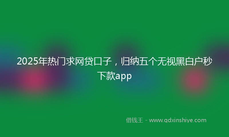 2025年热门求网贷口子，归纳五个无视黑白户秒下款app