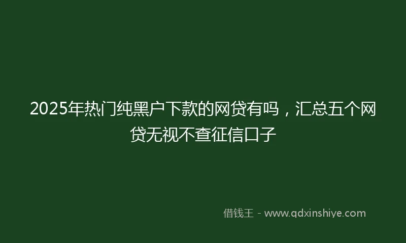 2025年热门纯黑户下款的网贷有吗，汇总五个网贷无视不查征信口子