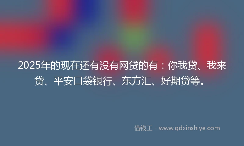 2025年的现在还有没有网贷的有：你我贷、我来贷、平安口袋银行、东方汇、好期贷等。