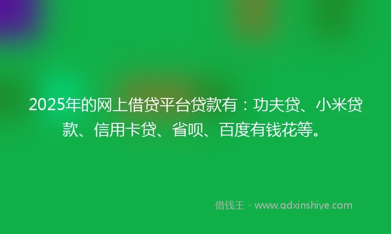 2025年的网上借贷平台贷款有：功夫贷、小米贷款、信用卡贷、省呗、百度有钱花等。