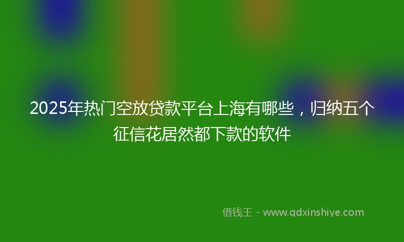 2025年热门空放贷款平台上海有哪些，归纳五个征信花居然都下款的软件