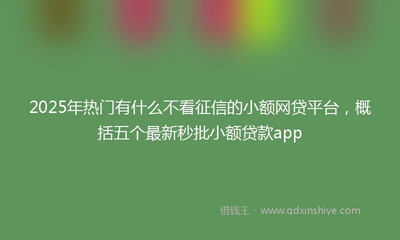2025年热门有什么不看征信的小额网贷平台，概括五个最新秒批小额贷款app