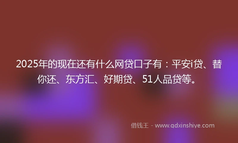 2025年的现在还有什么网贷口子有：平安i贷、替你还、东方汇、好期贷、51人品贷等。