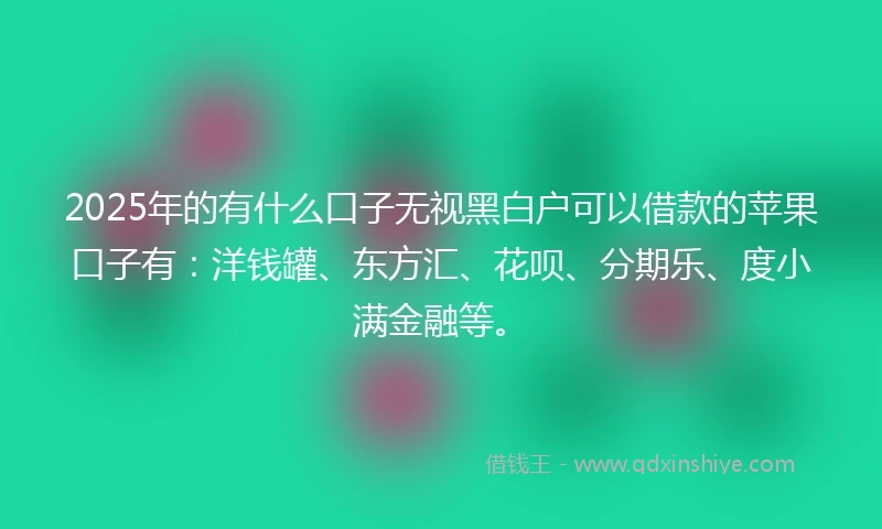 2025年的有什么口子无视黑白户可以借款的苹果口子有：洋钱罐、东方汇、花呗、分期乐、度小满金融等。