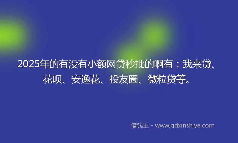 2025年的有没有小额网贷秒批的啊有：我来贷、花呗、安逸花、投友圈、微粒贷等。
