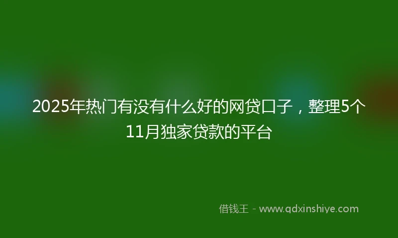 2025年热门有没有什么好的网贷口子，整理5个11月独家贷款的平台