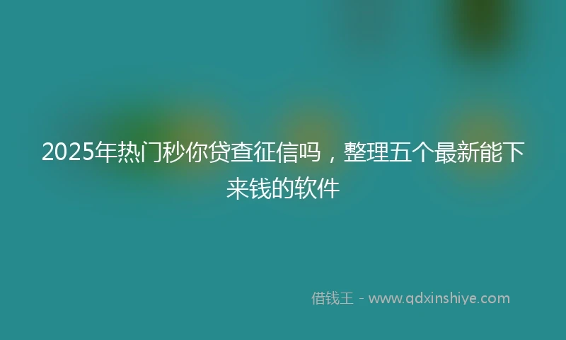 2025年热门秒你贷查征信吗，整理五个最新能下来钱的软件