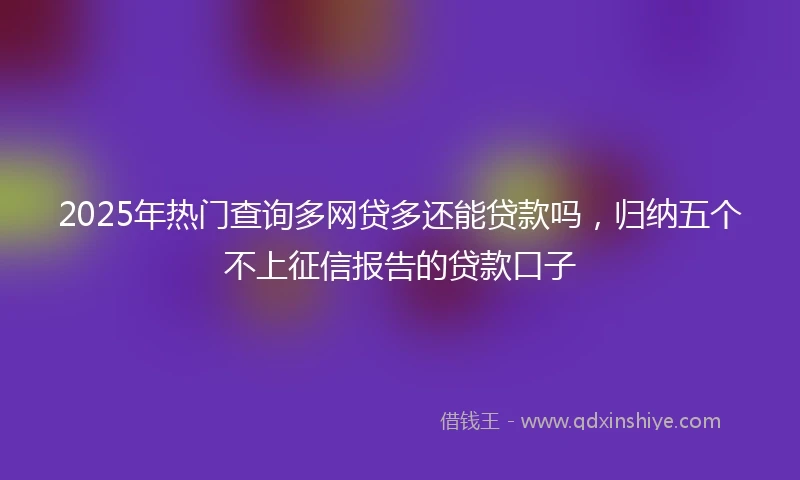 2025年热门查询多网贷多还能贷款吗，归纳五个不上征信报告的贷款口子
