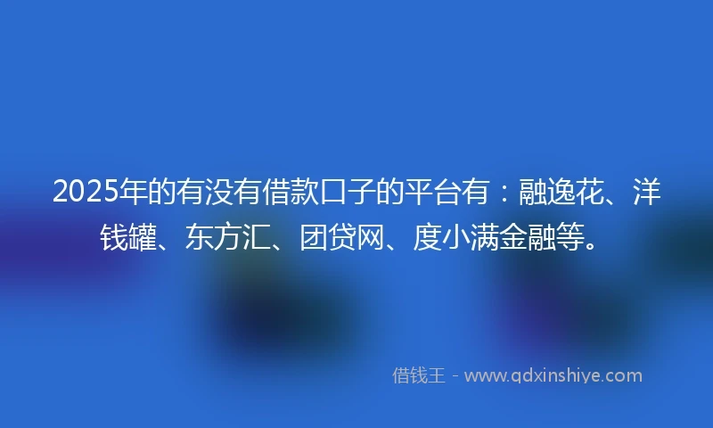 2025年的有没有借款口子的平台有：融逸花、洋钱罐、东方汇、团贷网、度小满金融等。