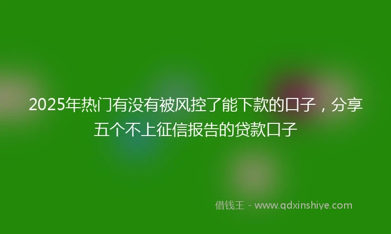 2025年热门有没有被风控了能下款的口子，分享五个不上征信报告的贷款口子