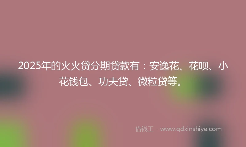 2025年的火火贷分期贷款有：安逸花、花呗、小花钱包、功夫贷、微粒贷等。