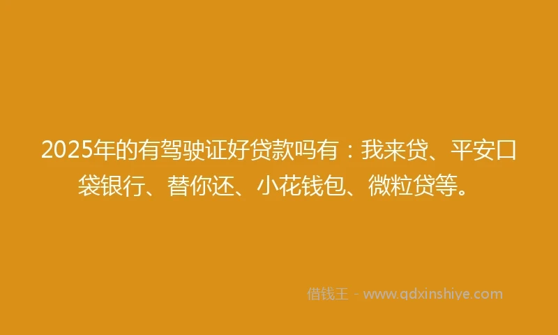 2025年的有驾驶证好贷款吗有：我来贷、平安口袋银行、替你还、小花钱包、微粒贷等。