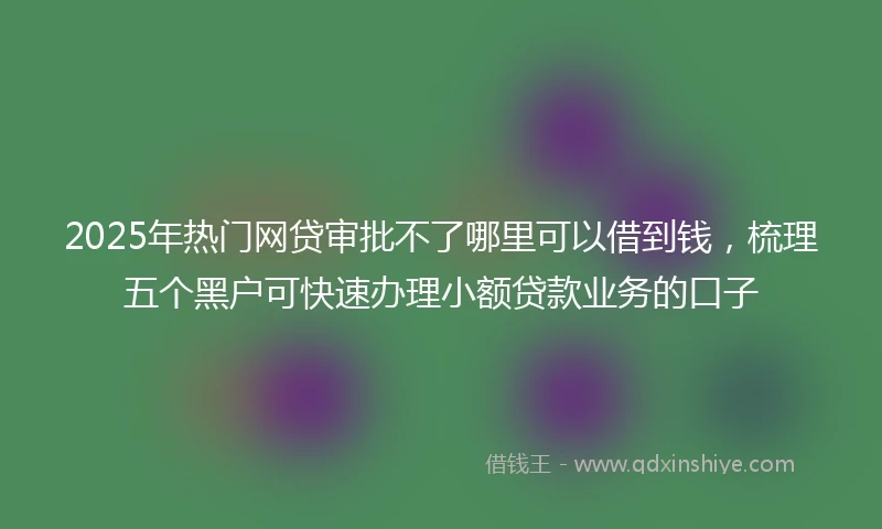 2025年热门网贷审批不了哪里可以借到钱，梳理五个黑户可快速办理小额贷款业务的口子