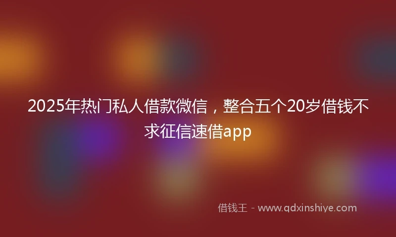 2025年热门私人借款微信，整合五个20岁借钱不求征信速借app
