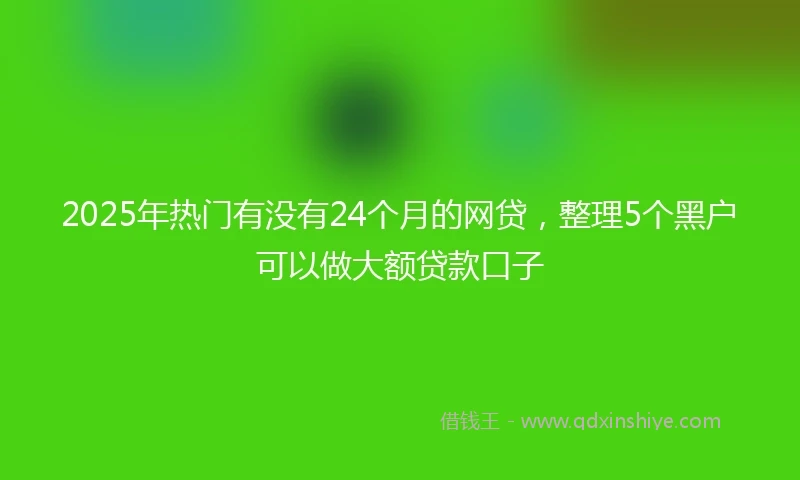 2025年热门有没有24个月的网贷，整理5个黑户可以做大额贷款口子