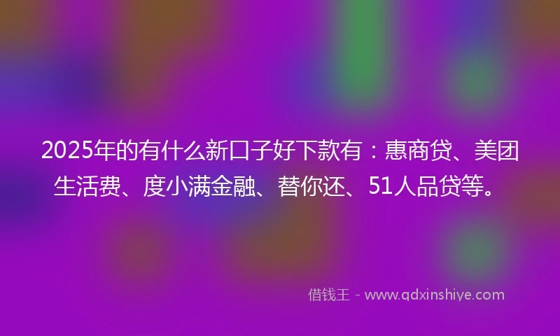 2025年的有什么新口子好下款有：惠商贷、美团生活费、度小满金融、替你还、51人品贷等。