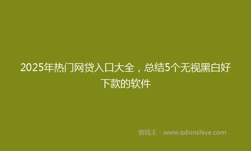 2025年热门网贷入口大全，总结5个无视黑白好下款的软件