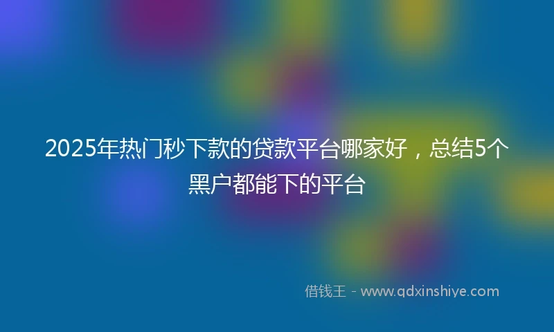 2025年热门秒下款的贷款平台哪家好，总结5个黑户都能下的平台