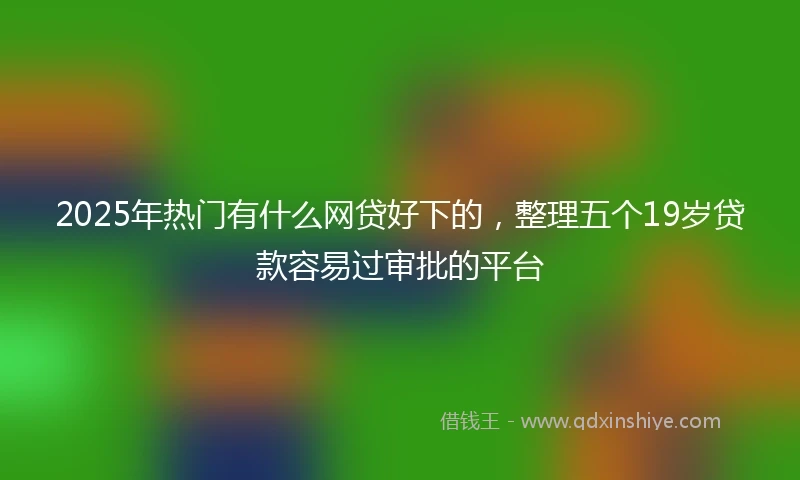 2025年热门有什么网贷好下的，整理五个19岁贷款容易过审批的平台