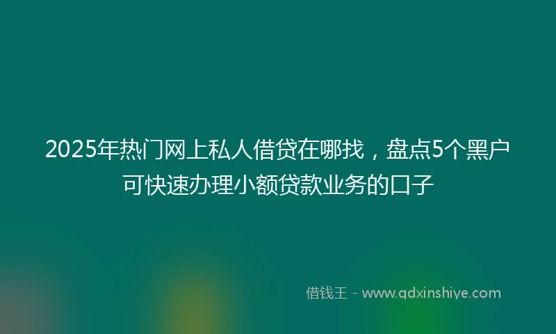 2025年热门网上私人借贷在哪找,盘点5个黑户可快速办理小额贷款业务的口子
