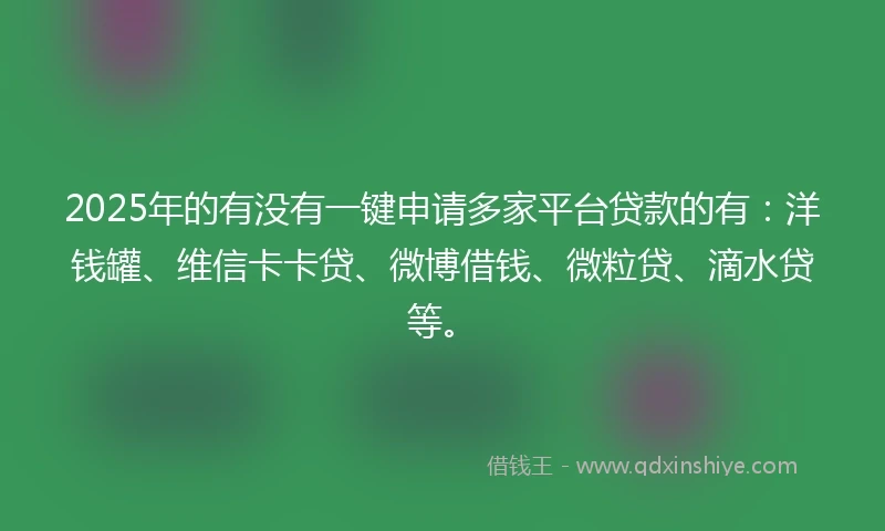 2025年的有没有一键申请多家平台贷款的有：洋钱罐、维信卡卡贷、微博借钱、微粒贷、滴水贷等。
