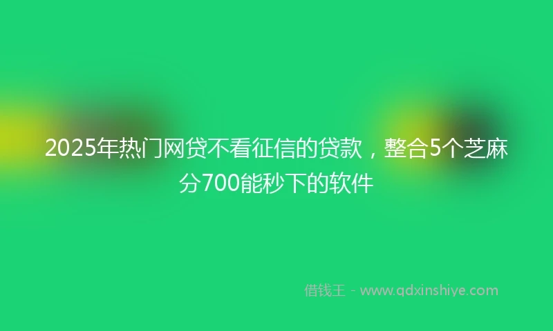 2025年热门网贷不看征信的贷款，整合5个芝麻分700能秒下的软件