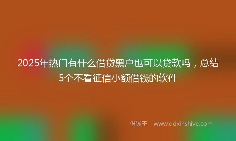 2025年热门有什么借贷黑户也可以贷款吗，总结5个不看征信小额借钱的软件