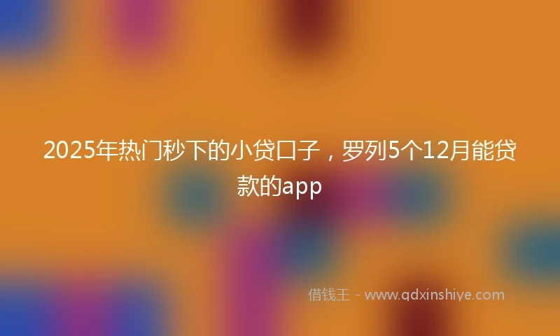 2025年热门秒下的小贷口子，罗列5个12月能贷款的app