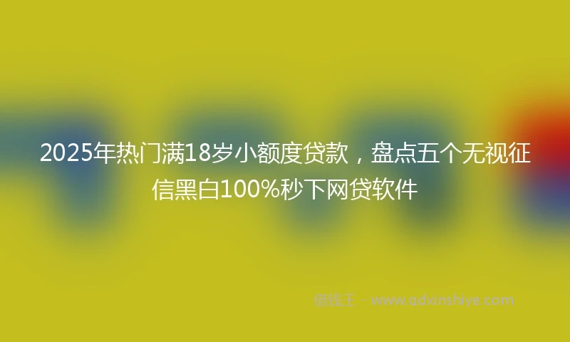 2025年热门满18岁小额度贷款，盘点五个无视征信黑白100%秒下网贷软件