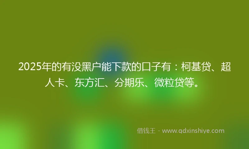 2025年的有没黑户能下款的口子有：柯基贷、超人卡、东方汇、分期乐、微粒贷等。