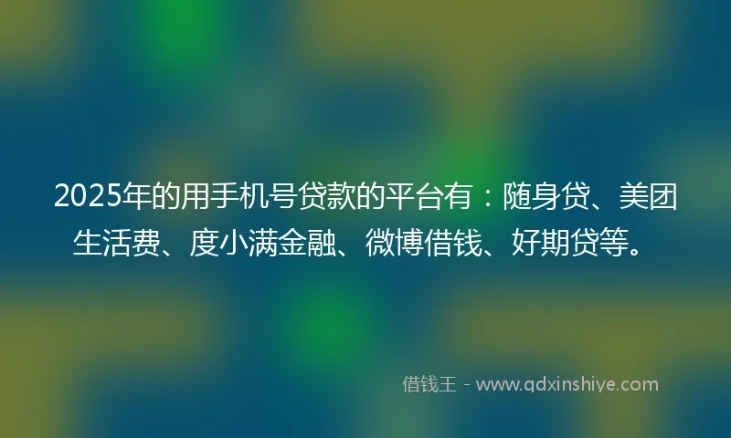 2025年的用手机号贷款的平台有：随身贷、美团生活费、度小满金融、微博借钱、好期贷等。