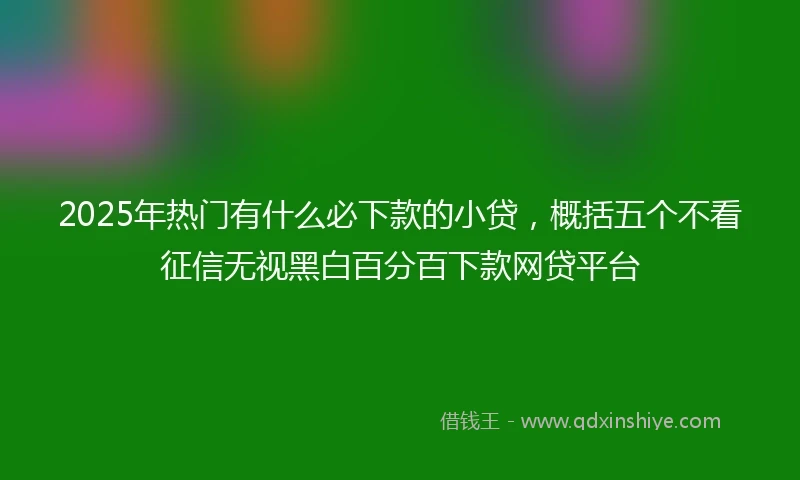 2025年热门有什么必下款的小贷，概括五个不看征信无视黑白百分百下款网贷平台